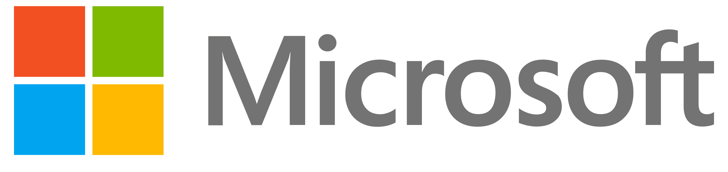 microsoft Icon
