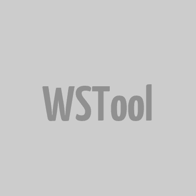 WSTool logo