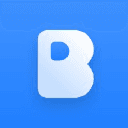 Birdie logo