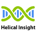 Helical Insight logo