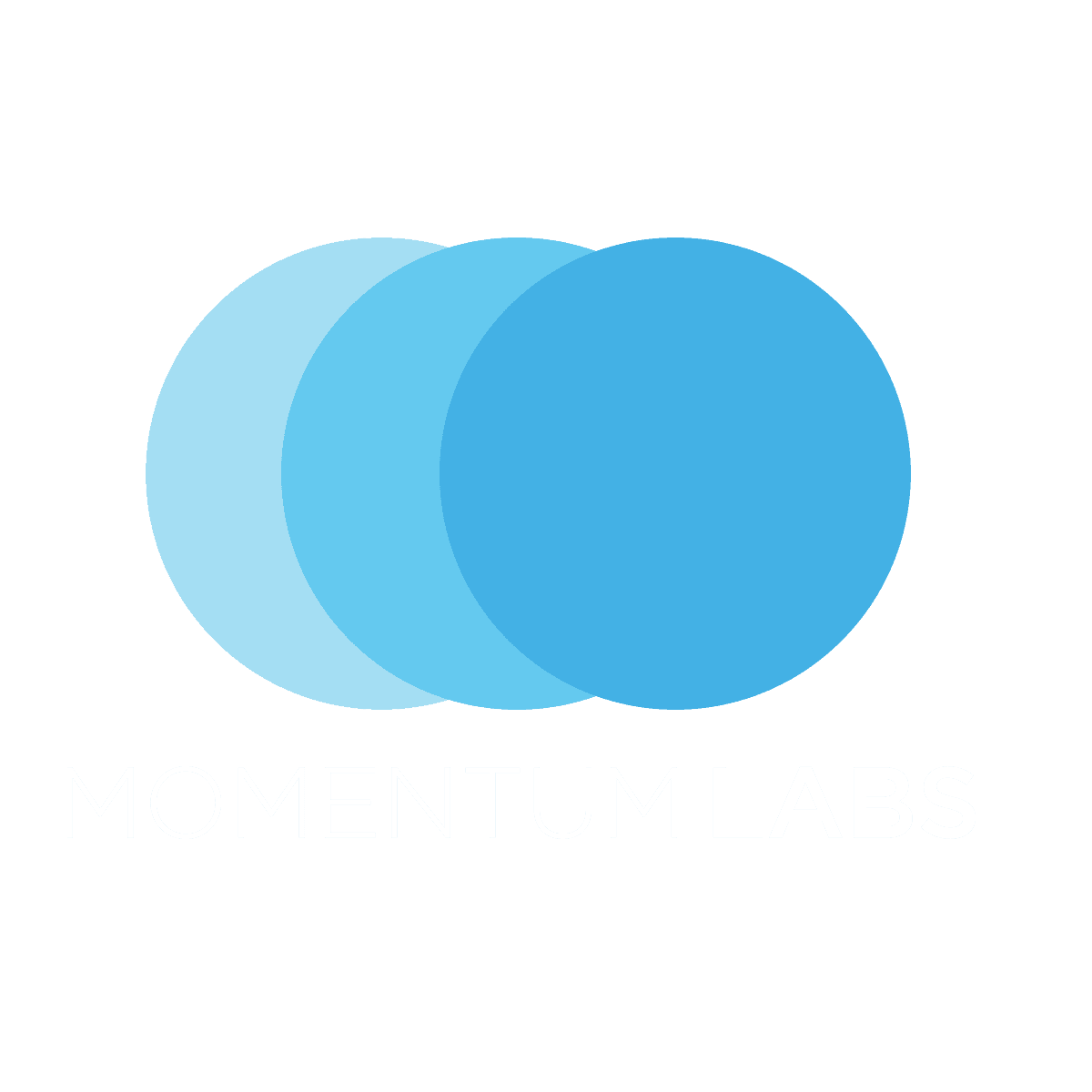 Momentum Labs