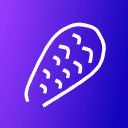 Castor logo