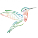 Hummingbird Web Solutions logo