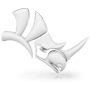 Rhinoceros 3D
