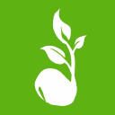 Accounting Seed