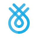 Flinks logo