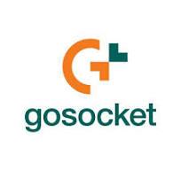 Gosocket logo