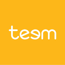 Teem logo
