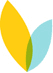 VideoBloom logo