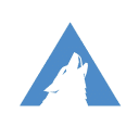 Arctic Wolf Networks