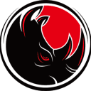 Dark Rhino Security