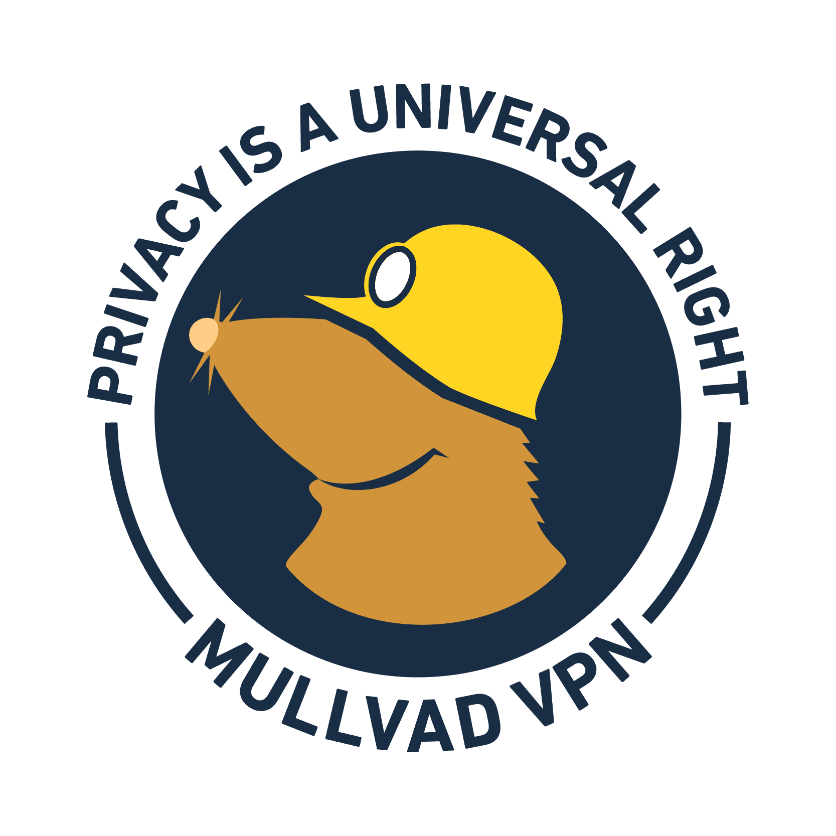 Mullvad VPN
