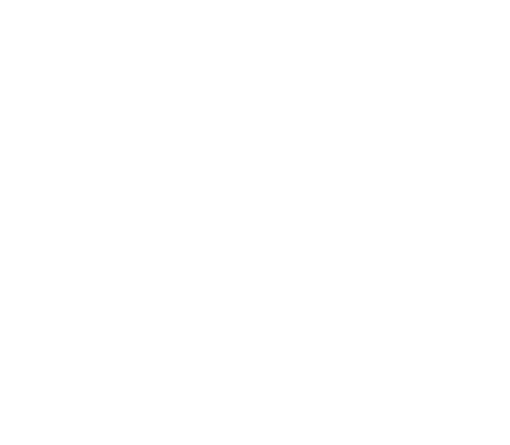 Blackswan Space