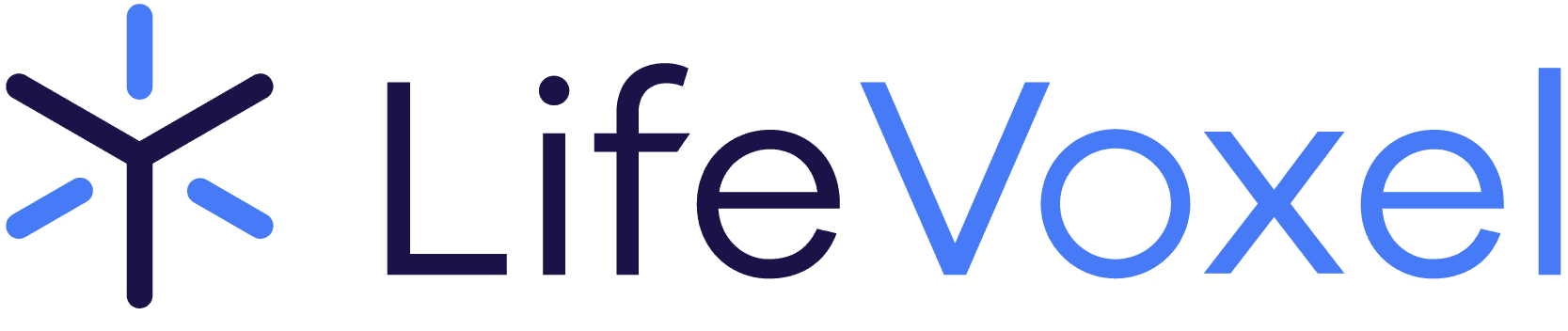 LifeVoxel