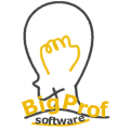 BigProf Software