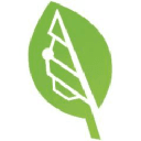Bigleaf Networks