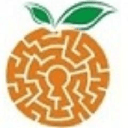 miniOrange