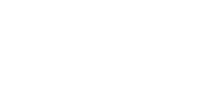 Streamline Health